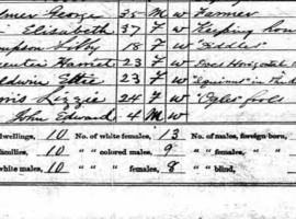 Squirming in the Dark: Playful Occupations for Sex Workers in the 1870 Census