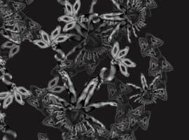 Fractal Repair: Queer Histories of Modern Jamaica