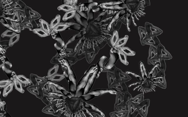Fractal Repair: Queer Histories of Modern Jamaica